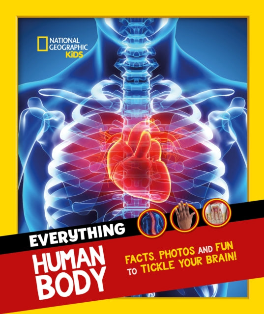 Everything: Human Body : Eye-Opening Facts and Photos to Tickle Your Brain!-9780008541583