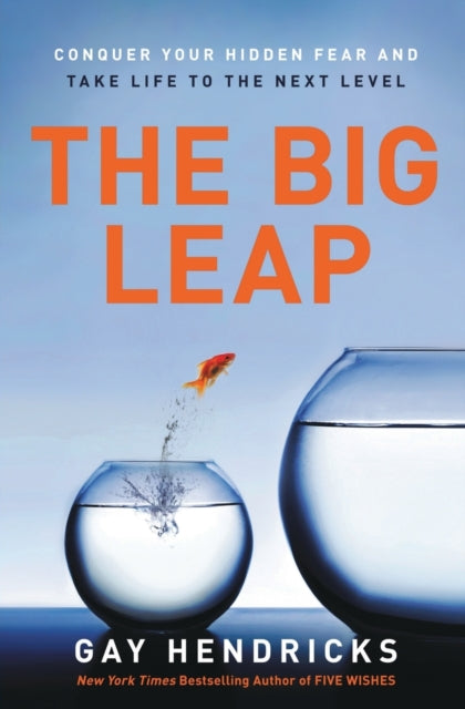 The Big Leap : Conquer Your Hidden Fear and Take Life to the Next Level-9780061735363