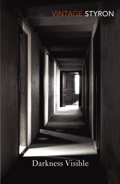 Darkness Visible-9780099285571