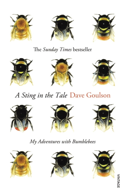 A Sting in the Tale : My Adventures with Bumblebees-9780099575122