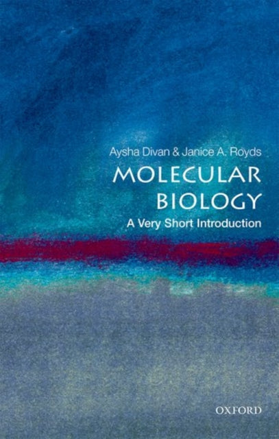 Molecular Biology:  A Very Short Introduction-9780198723882