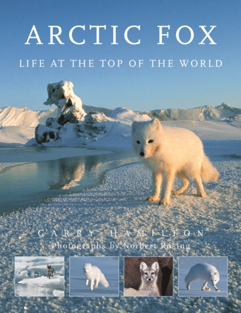 Arctic Fox : Life at the Top of the World-9780228104148