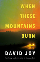 When These Mountains Burn : The literary crime thriller from the prizewinning master of American noir fiction-9780233006505