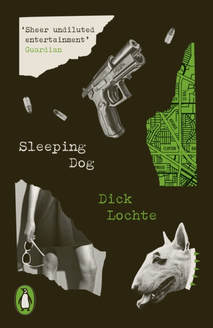 Sleeping Dog-9780241656921