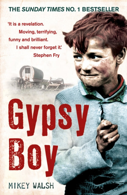 Gypsy Boy : The bestselling memoir of a Romany childhood-9780340977989
