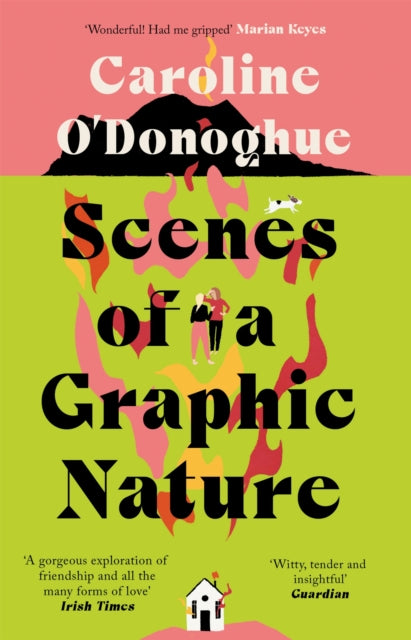 Scenes of a Graphic Nature : 'A perfect page-turner' (Dolly Alderton) from the bestselling author of The Rachel Incident-9780349009971