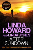 After Sundown : an irresistibly gripping romantic thriller-9780349413969