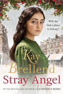 Stray Angel: an absolutely heart-rending Christmas saga-9780349425160