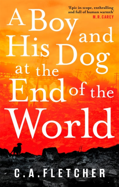 A Boy and his Dog at the End of the World-9780356510934