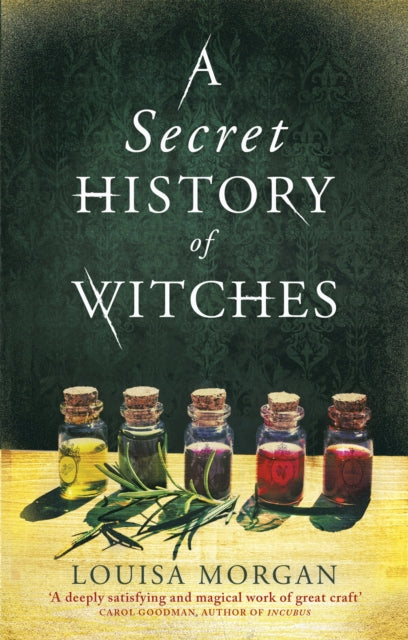 A Secret History of Witches : The spellbinding historical saga of love and magic-9780356511566