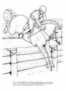 Big Book of Horses to Color-9780486451787