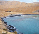 Patterson: Houses of Aotearoa-9780500026458