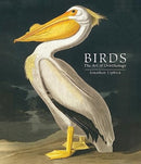 Birds : The Art of Ornithology (Pocket edition)-9780565095512