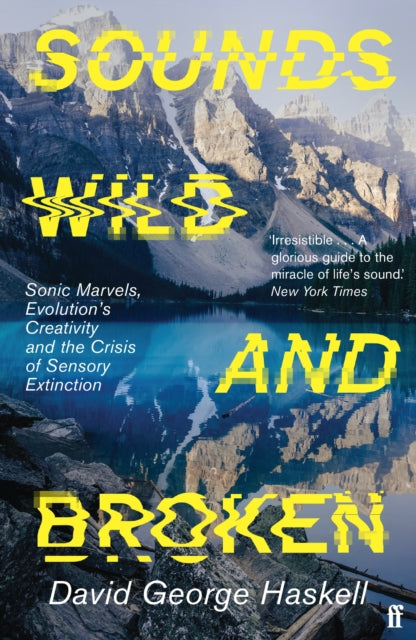 Sounds Wild and Broken-9780571362097