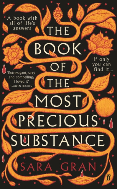 The Book of the Most Precious Substance : Discover this year's most spellbinding quest novel-9780571375615