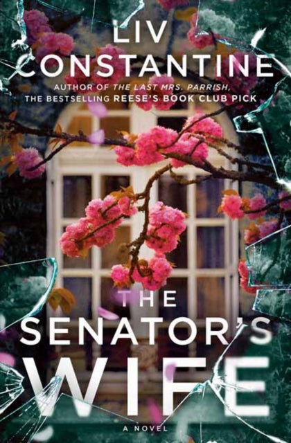The Senator's Wife : A Novel-9780593599891