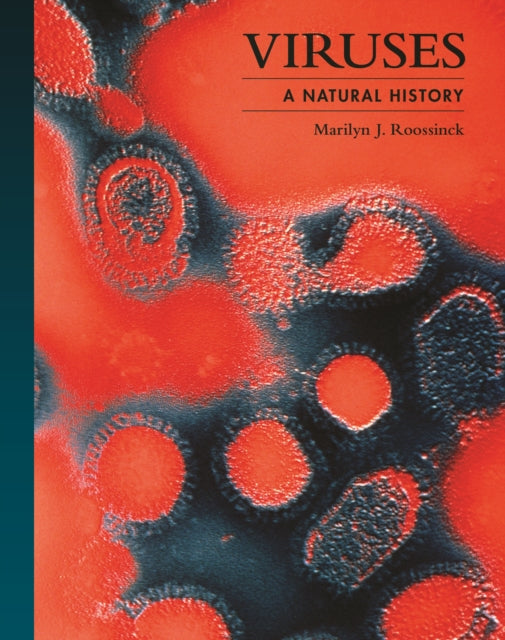 Viruses : A Natural History-9780691237596