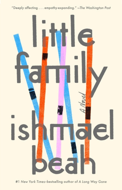 Little Family : A Novel-9780735211780