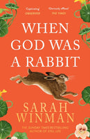 When God was a Rabbit : From the bestselling author of STILL LIFE-9780755379309
