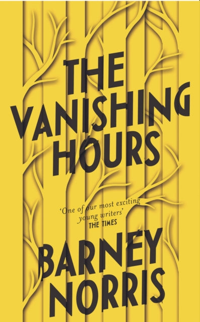 The Vanishing Hours-9780857525710