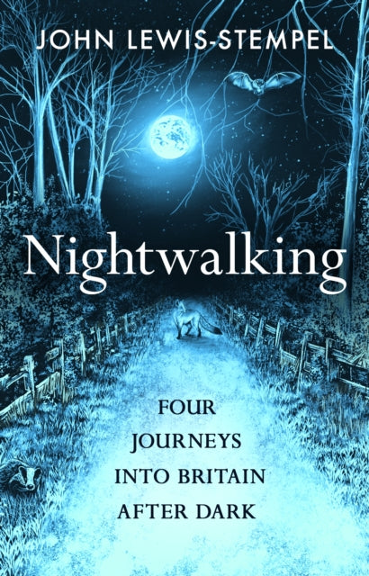Nightwalking : Four Journeys into Britain After Dark-9780857529114