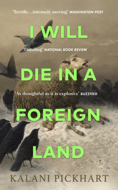 I Will Die in a Foreign Land-9780857529305