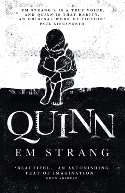 Quinn : 'Hypnotically beautiful' - Mark Haddon, author of The Curious Incident of the Dog in the Nighttime-9780861543007