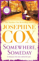 Somewhere, Someday : Sometimes the past must be confronted-9781035409273