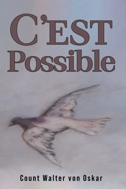 C'est Possible-9781035811885