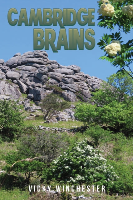 Cambridge Brains-9781035813544