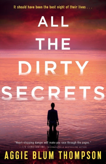 All the Dirty Secrets-9781250773982