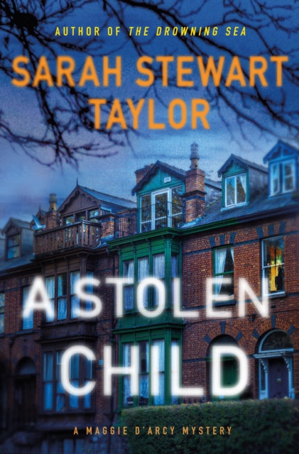 A Stolen Child : A Mystery-9781250826688