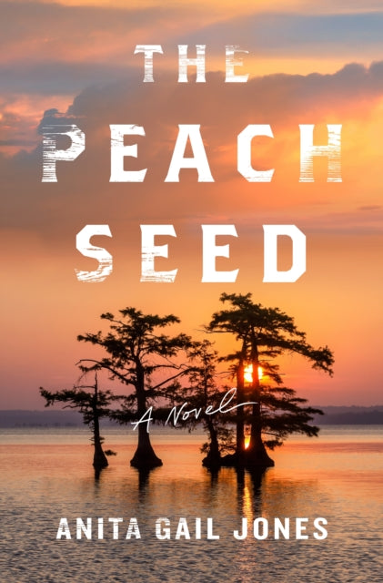 The Peach Seed-9781250872050