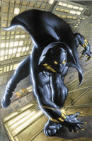 Black Panther By Christopher Priest Omnibus Vol. 1-9781302945015