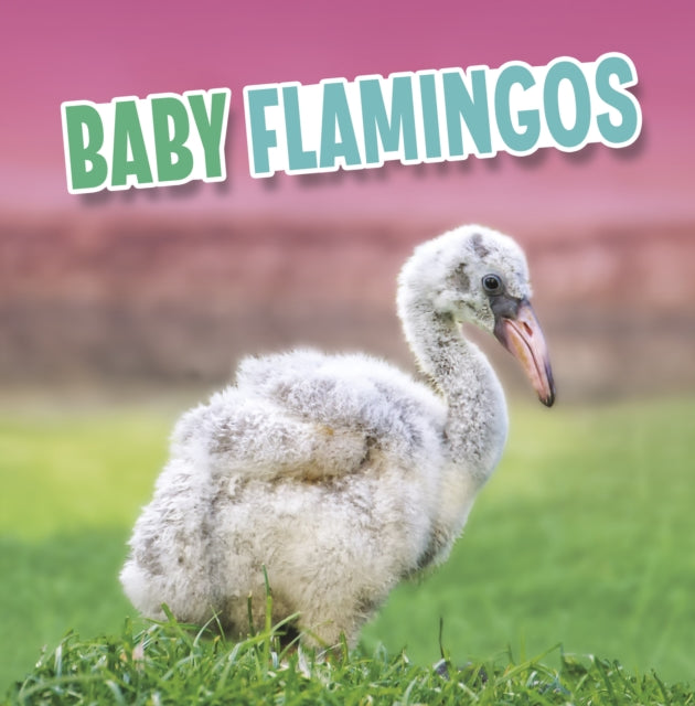 Baby Flamingos-9781398223905