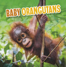Baby Orangutans-9781398223981