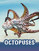 Octopuses-9781398224919
