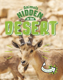 Animals Hidden in the Desert-9781398242418