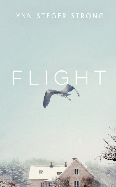 Flight : 'A master of family life' - Lily King-9781398519138
