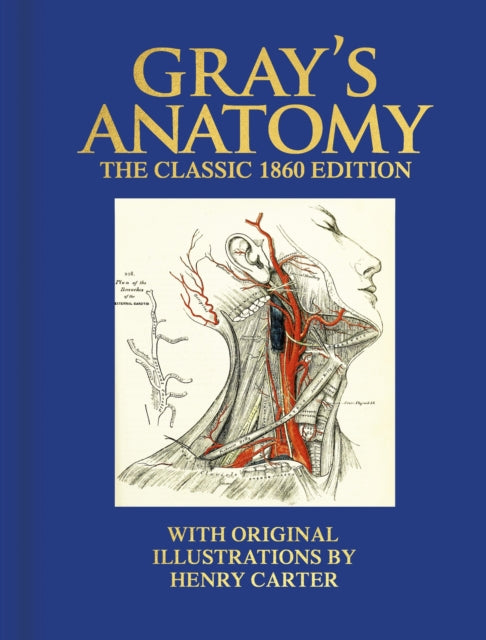 Gray's Anatomy : The Classic 1860 Edition with Original Illustrations by Henry Carter-9781398824492