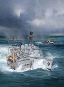 The Royal Navy and Fishery Protection : From the Fourteenth Century to the Present-9781399041706
