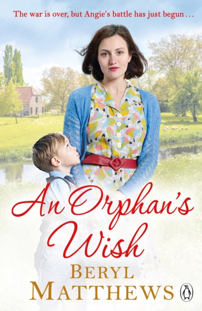 An Orphan's Wish-9781405940634