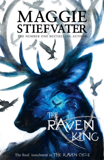 The Raven King-9781407136646