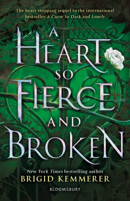 A Heart So Fierce and Broken-9781408885086