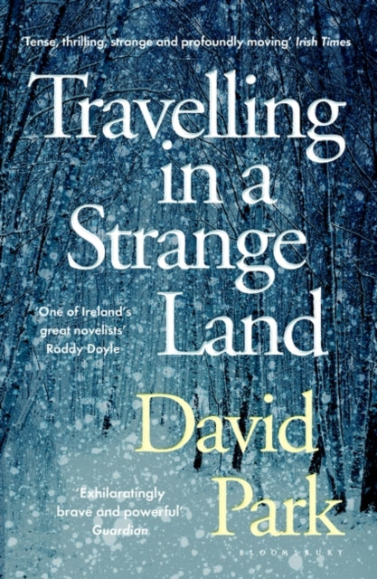 Travelling in a Strange Land : Winner of the Kerry Group Irish Novel of the Year-9781408892756