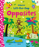 Lift-the-flap Opposites-9781409582588