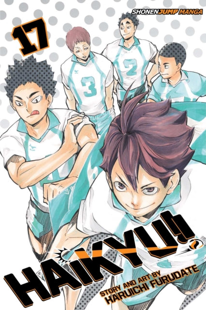 Haikyu!!, Vol. 17-9781421591070