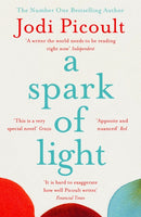 A Spark of Light : The heart-stopping must-read from No.1 Sunday Times Bestseller!-9781444788167