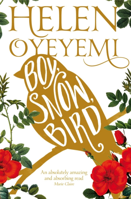 Boy, Snow, Bird-9781447237143