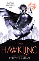 The Hawkling-9781473234420